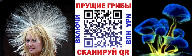Галлюциногенные грибы MAGIC MUSHROOMS  Купить закладки  Бузулук 
